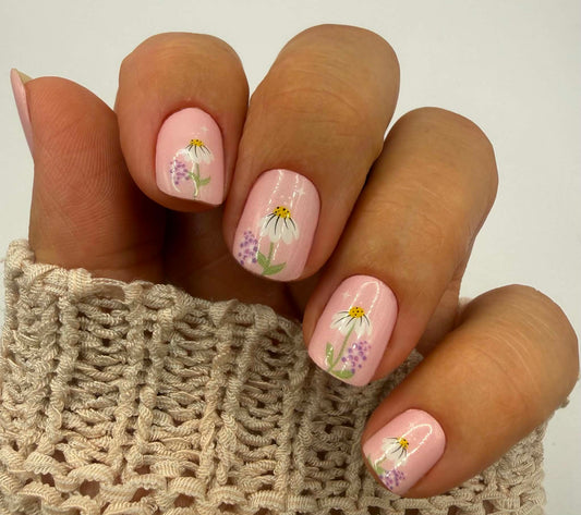 Pink Poesie 16er