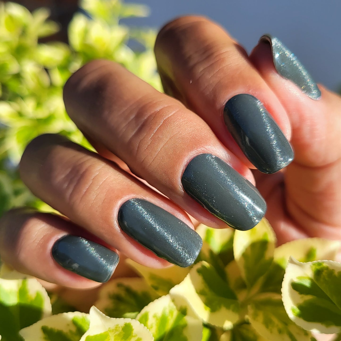 UV Liquorice Candy 16er