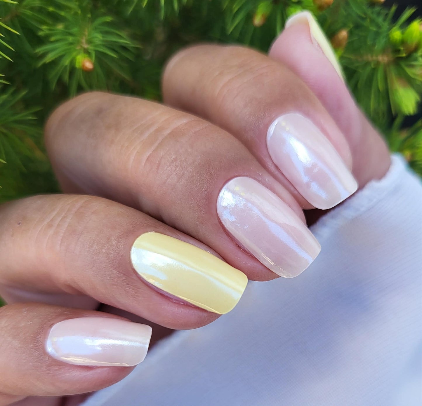 UV Glazed Spring 20er