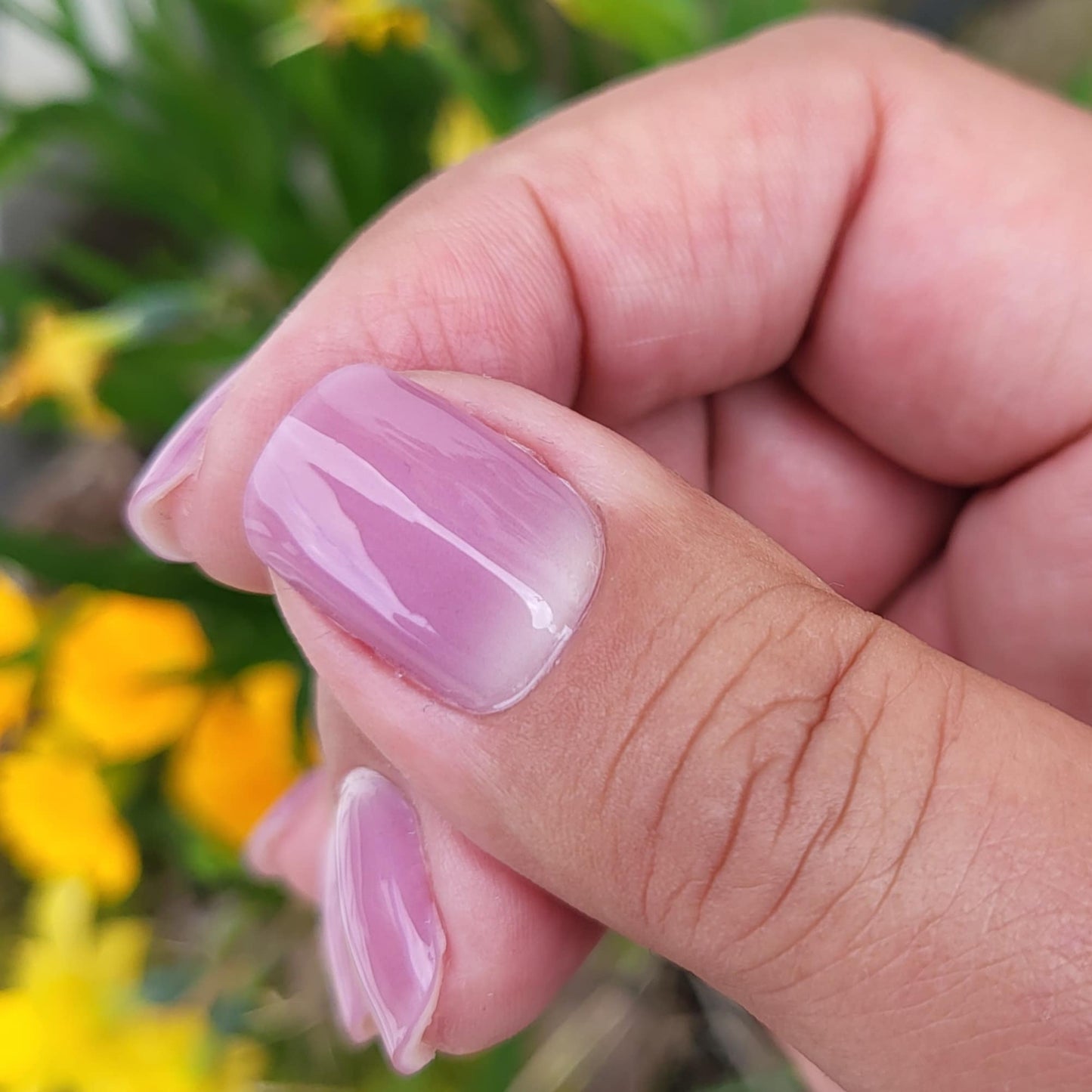 UV Mauve Touch 20er