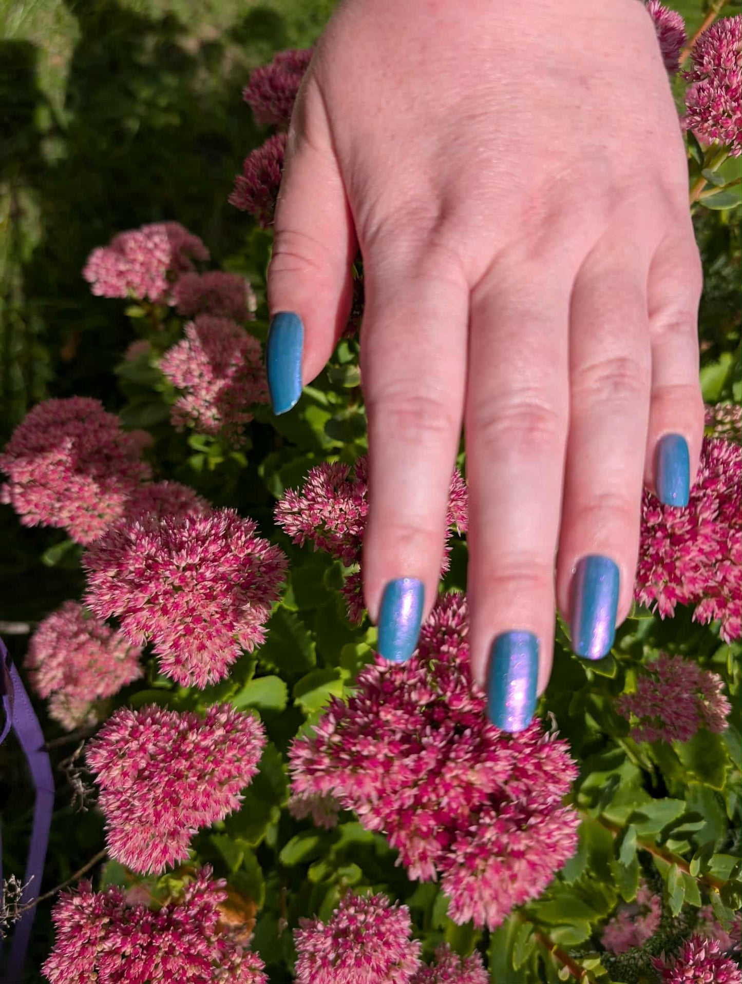 Shifter Turquoise 20er