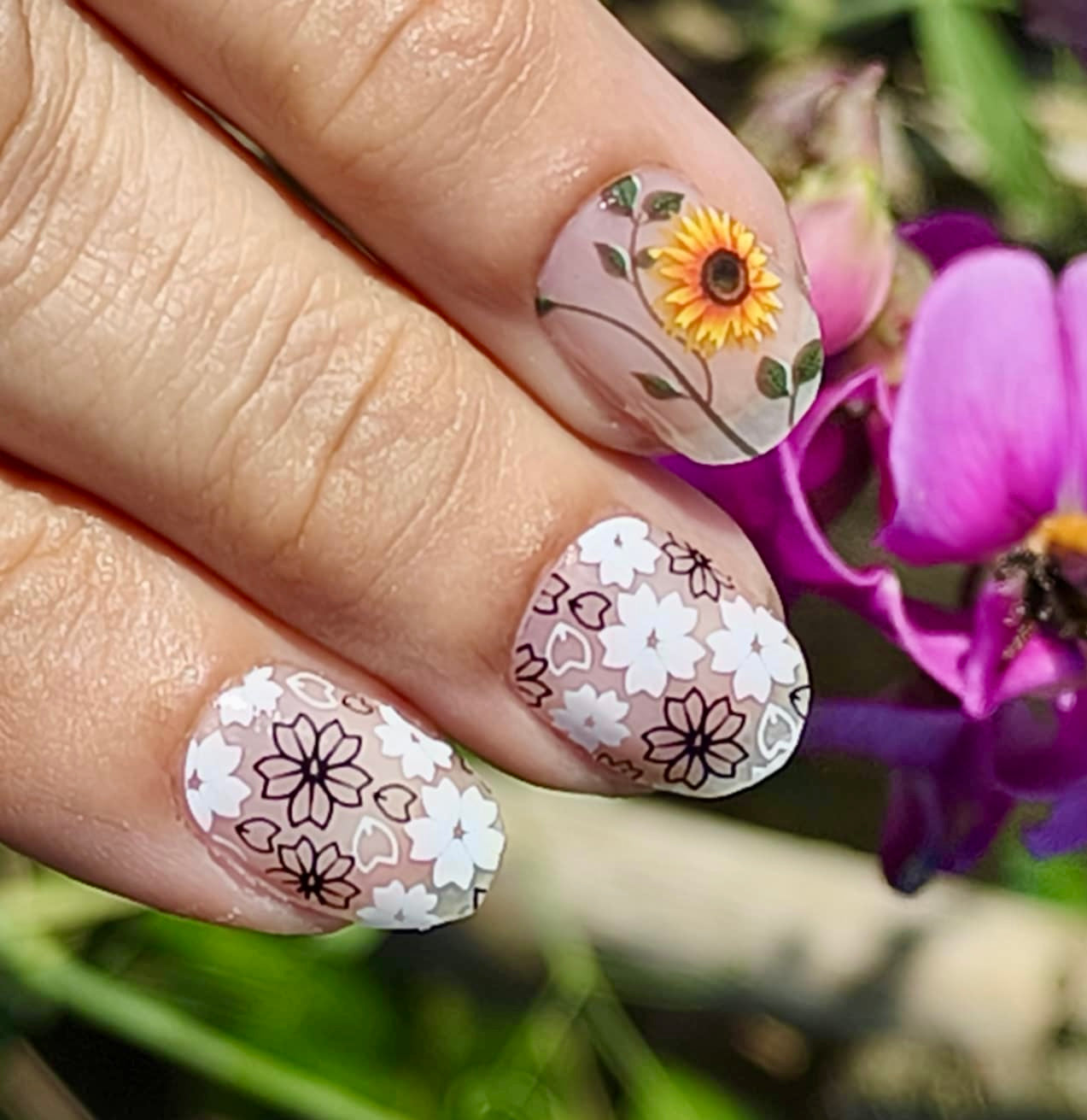 Petal Play 16er Overlay