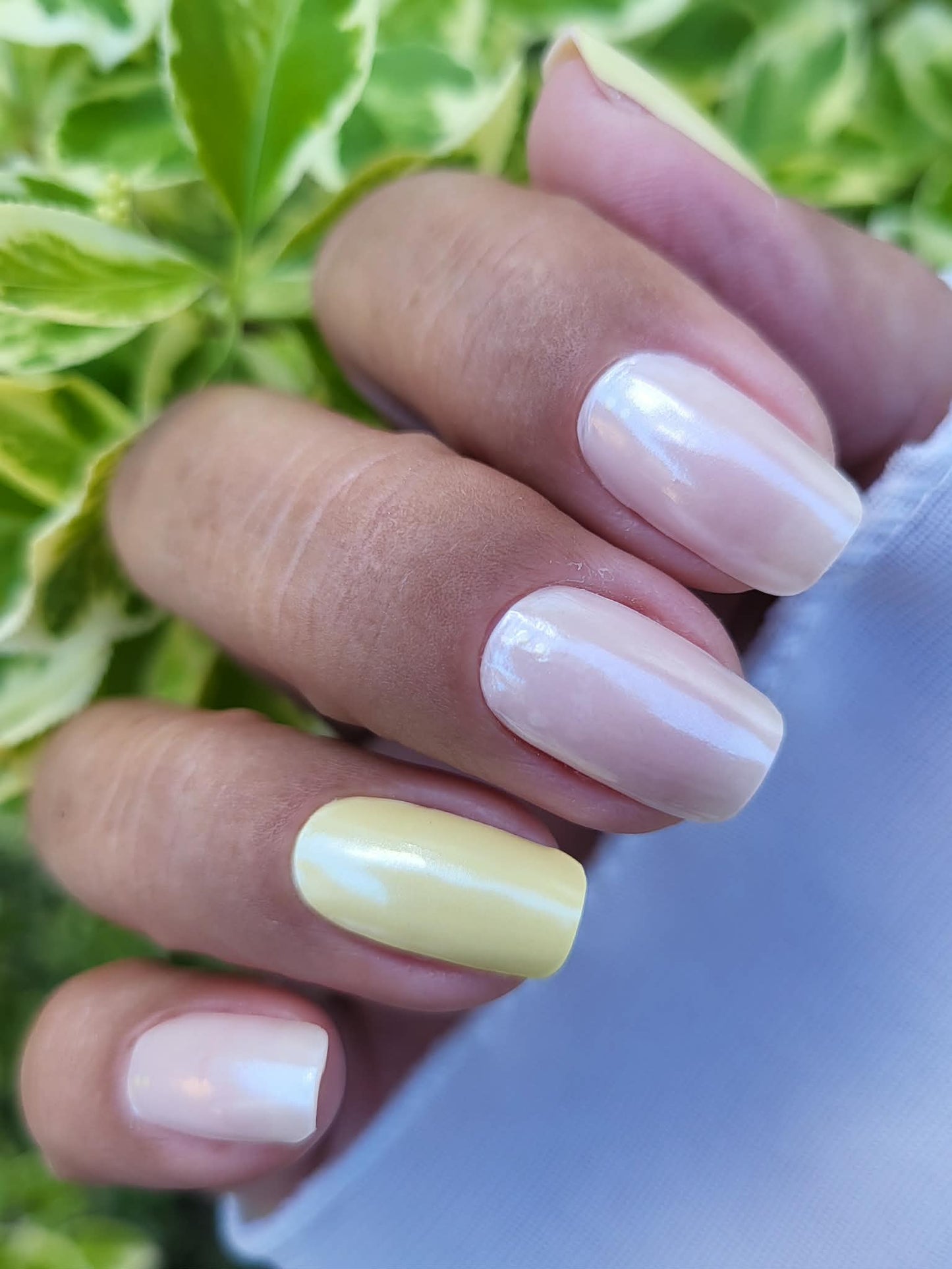UV Glazed Spring 20er