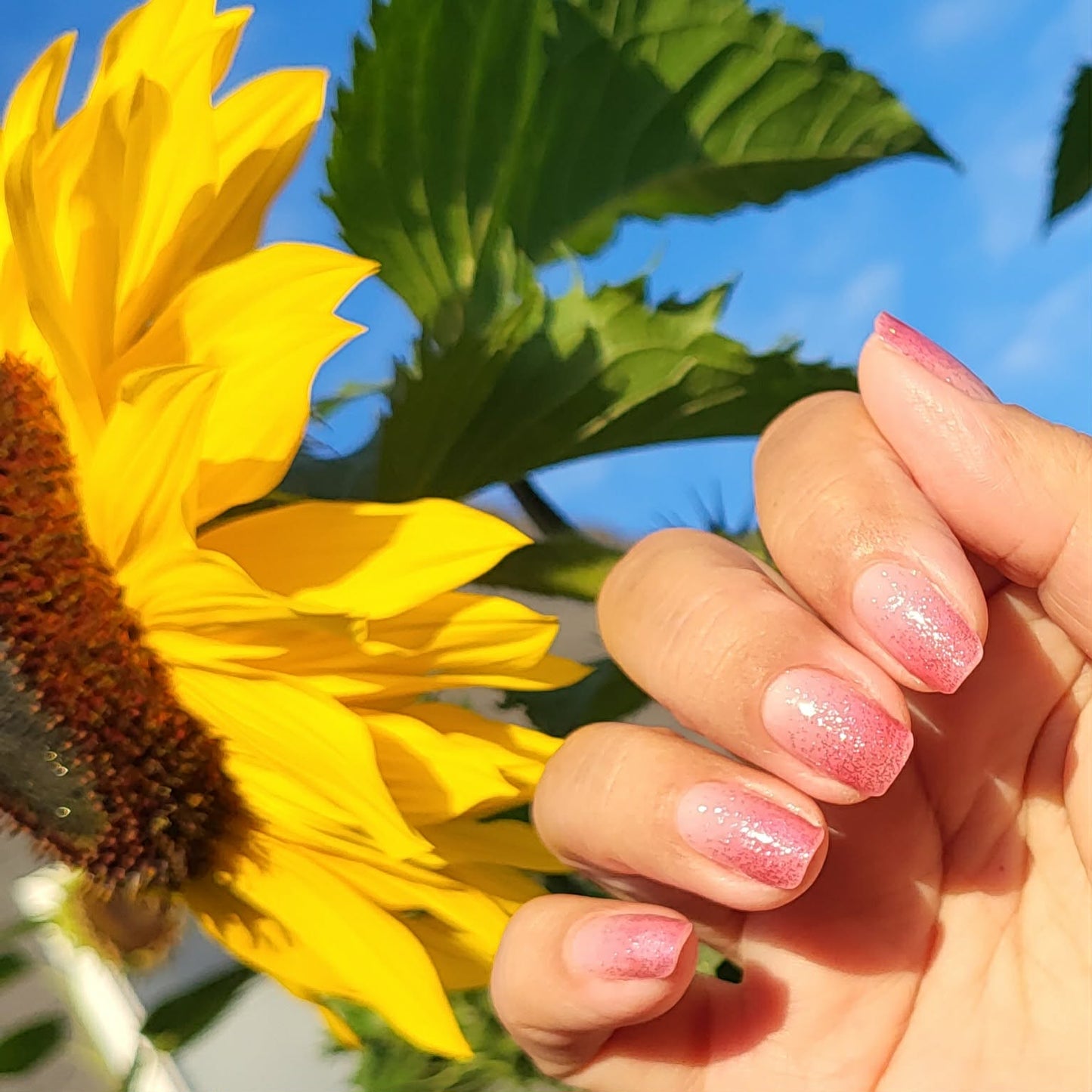 UV-free Gel Sugared Jelly 22er