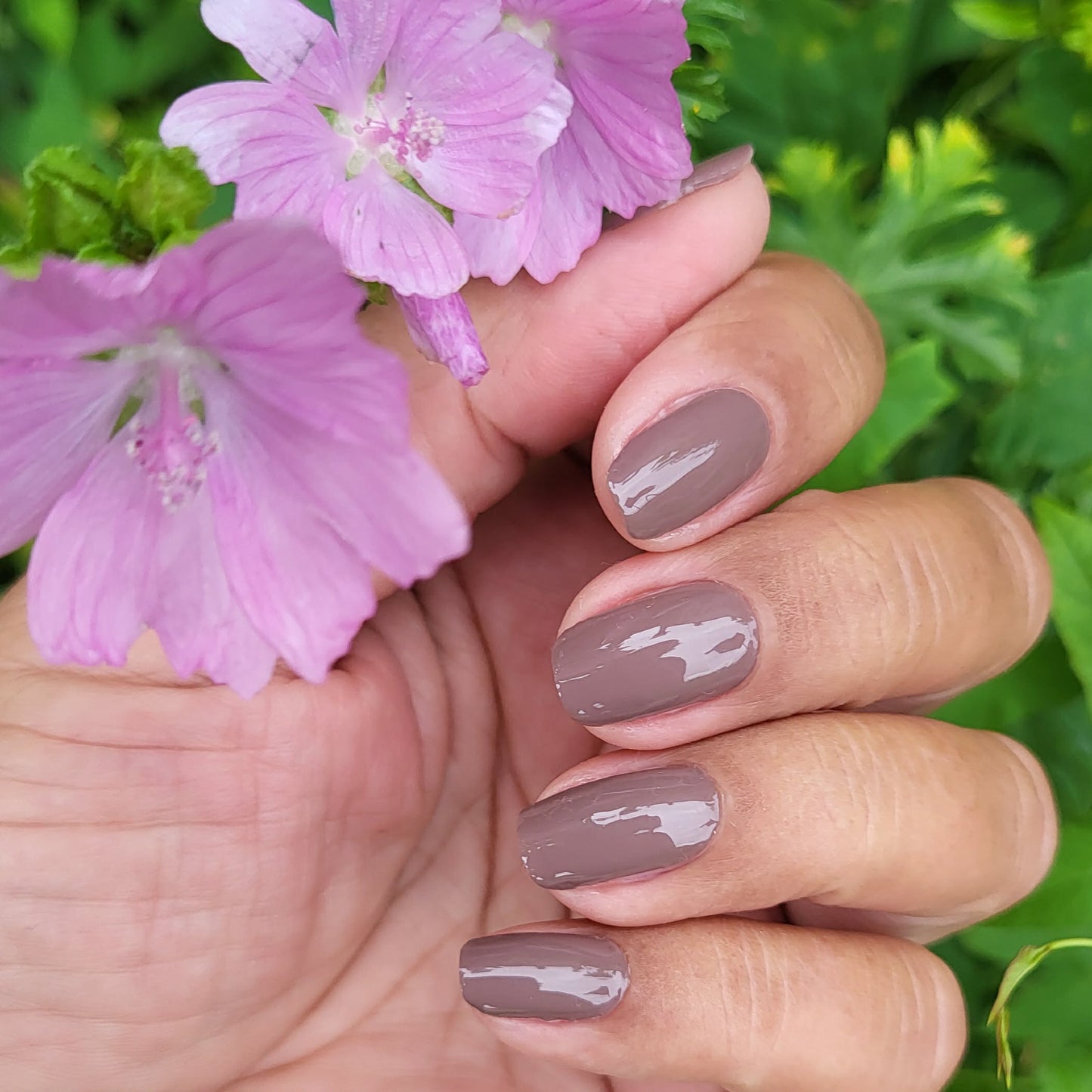 Uni Hazel 16er