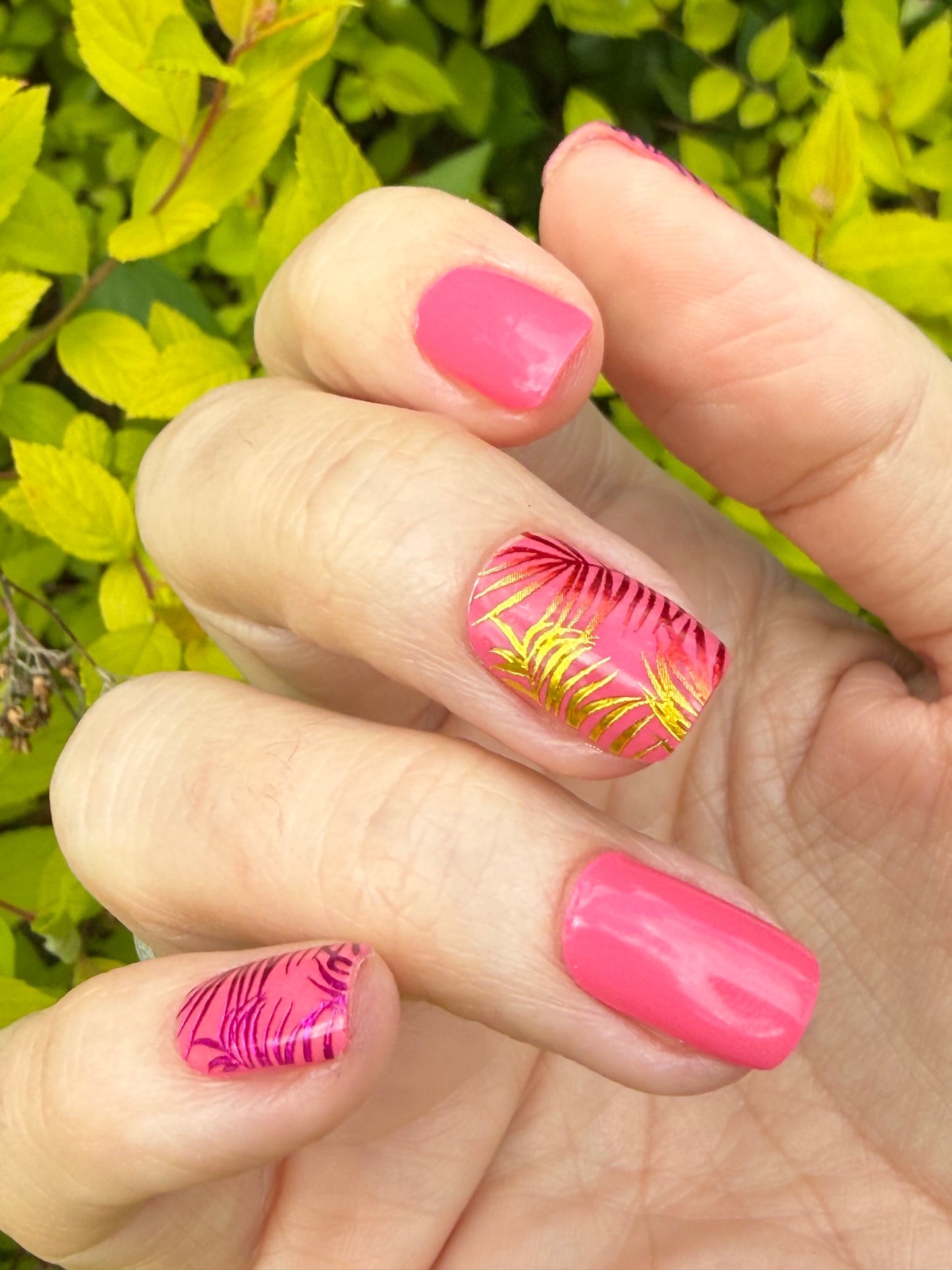 Palm Paradise 16er Overlay