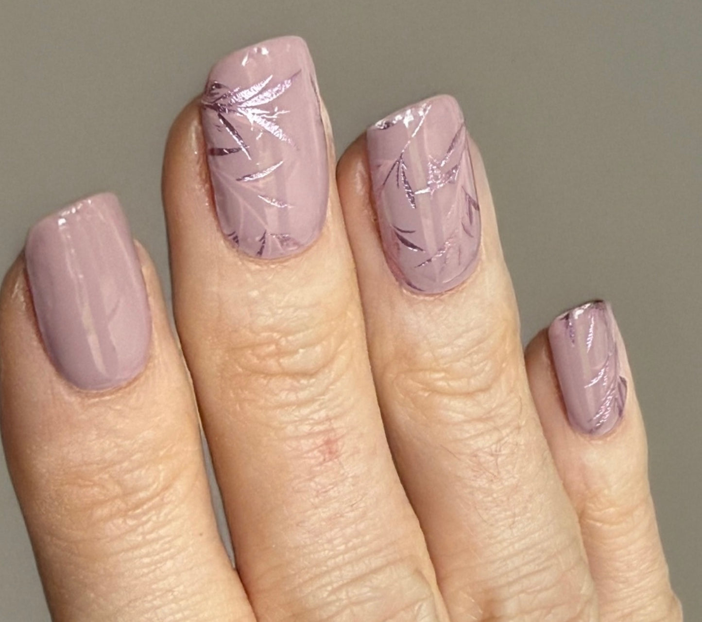 Mauve Whispers 16er