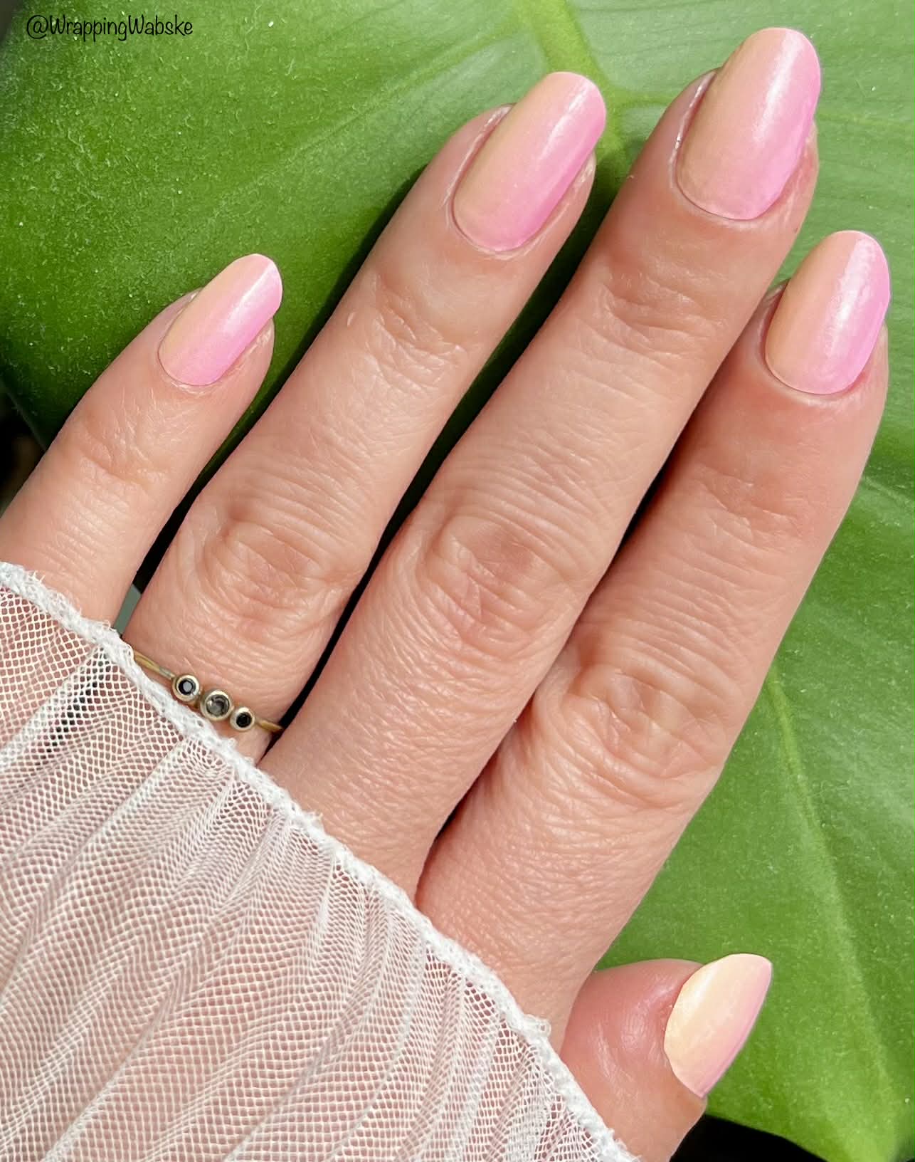 Pink Peach 16er