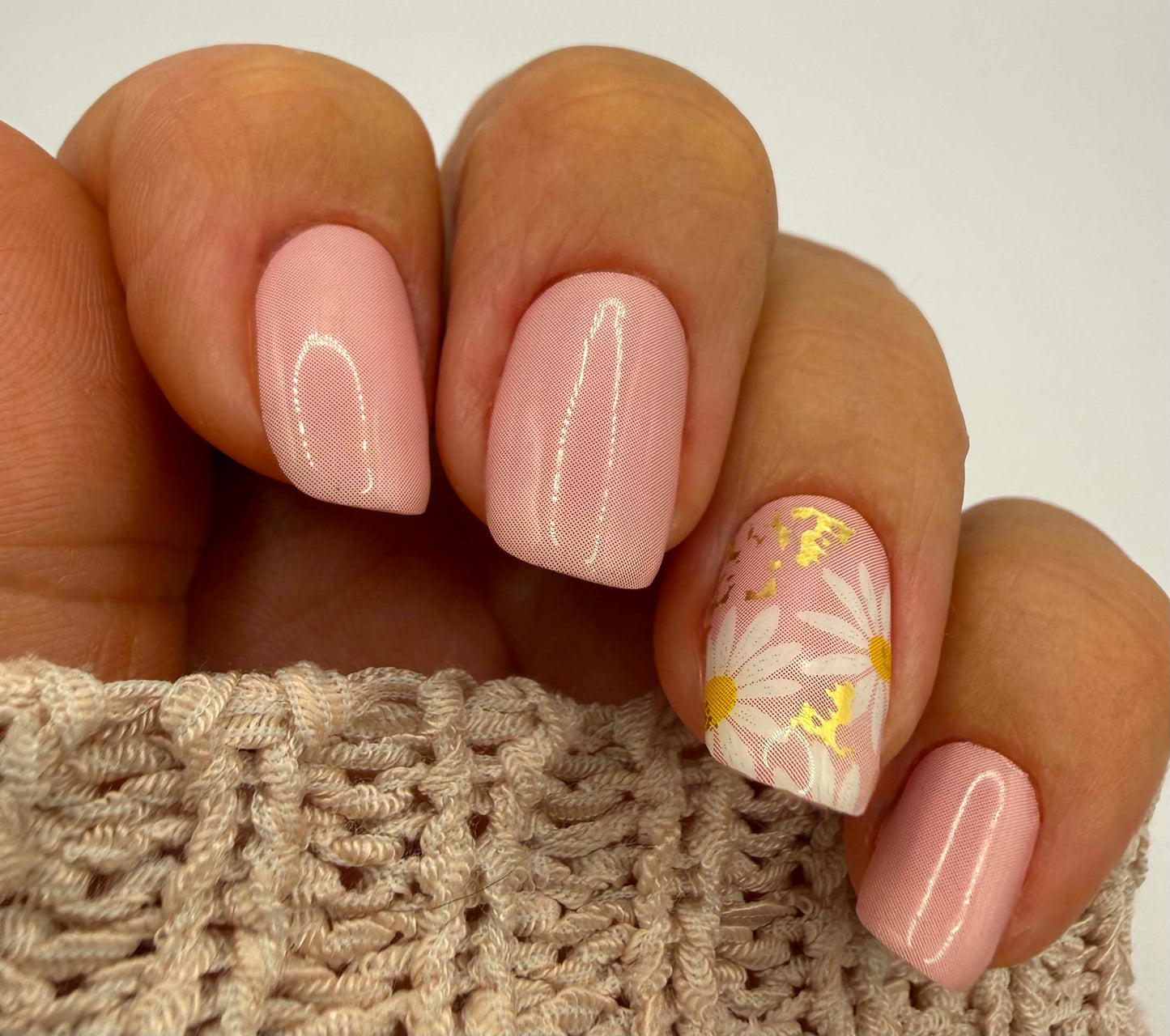 Sweet Bellis 16er