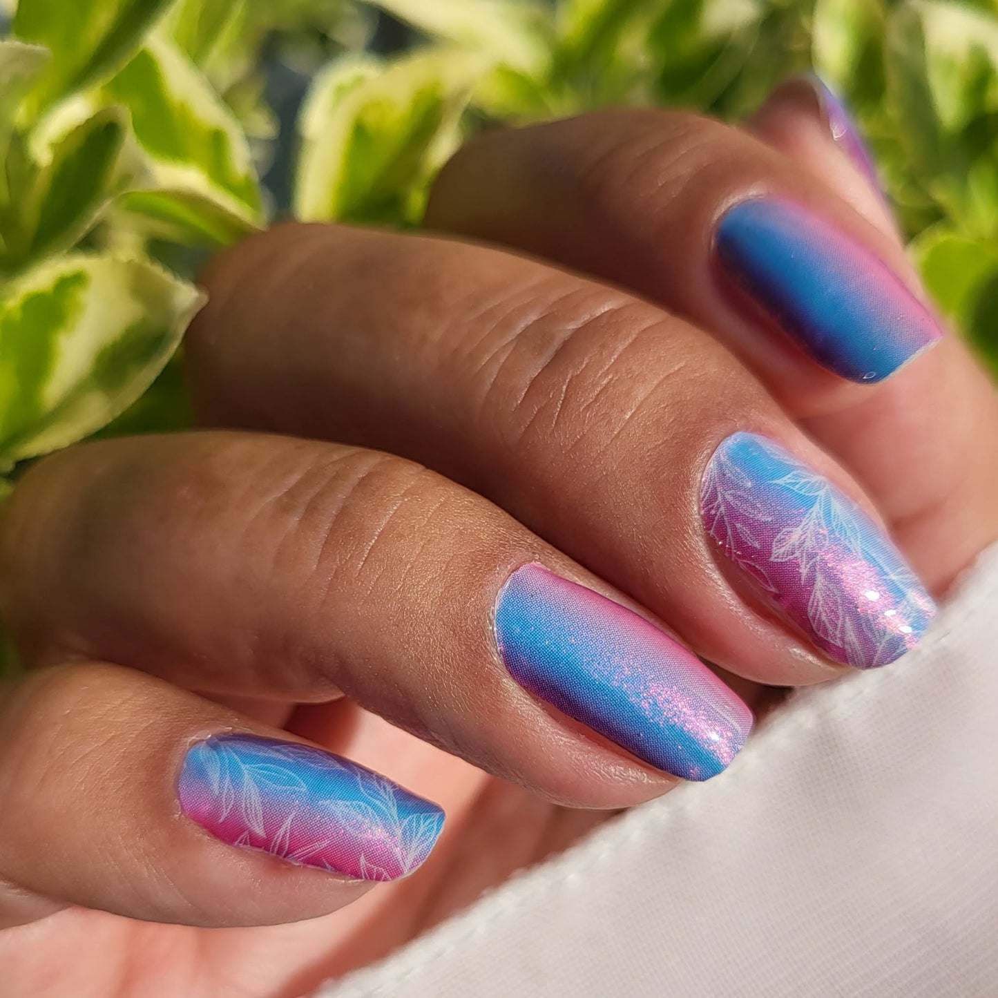 Dream Petals 16er
