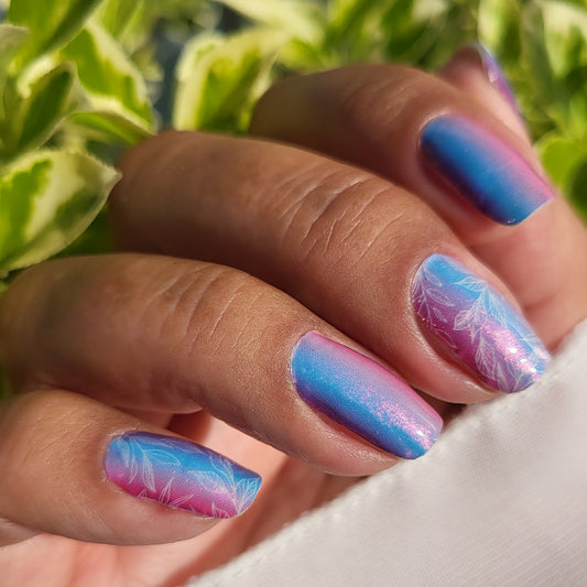 Dream Petals 16er