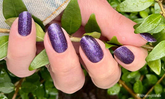 Galactic Grape 16er