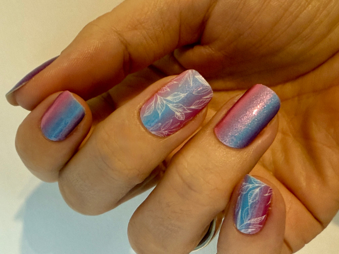 Dream Petals 16er