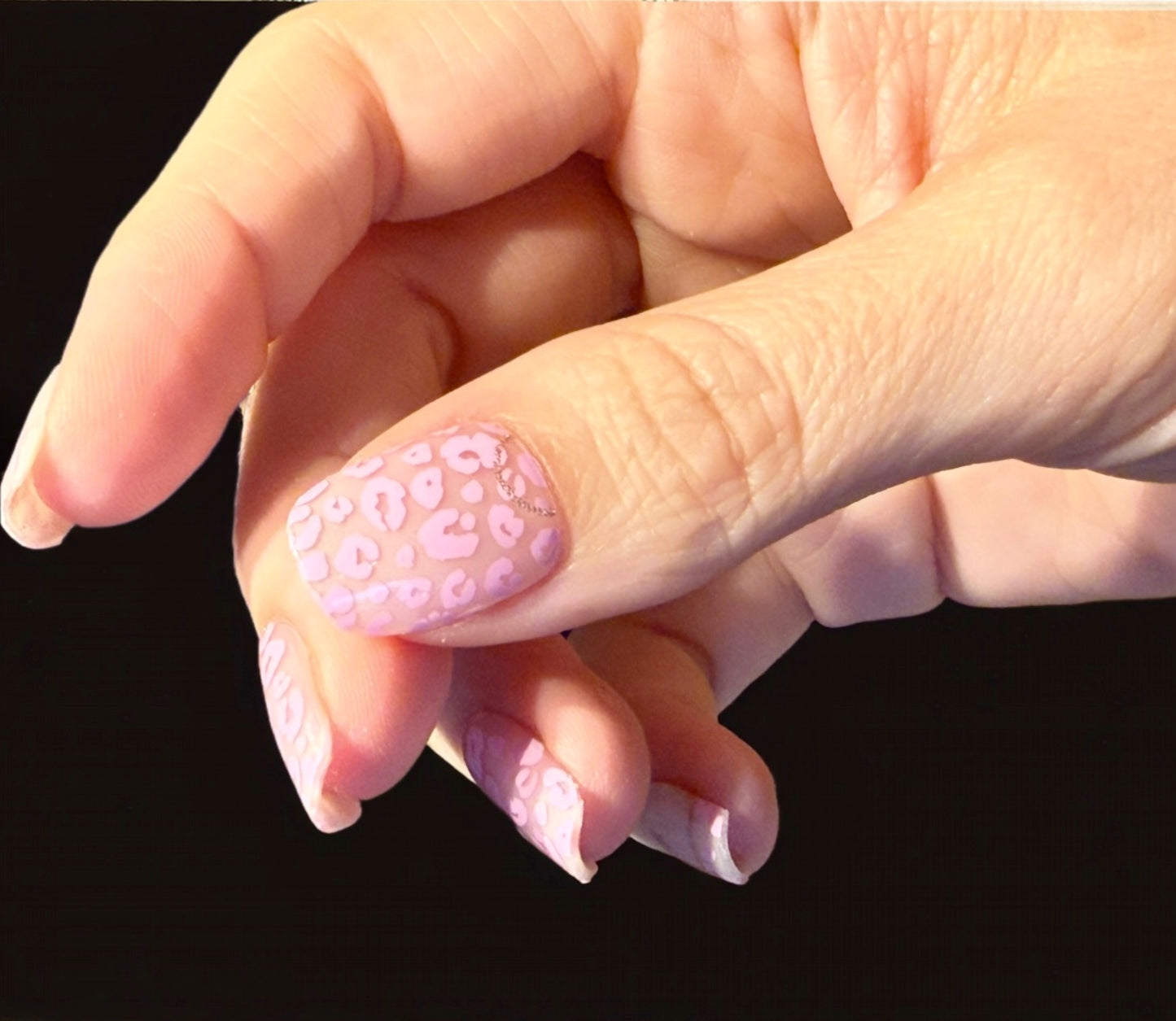 Rosy Roar 16er Overlay