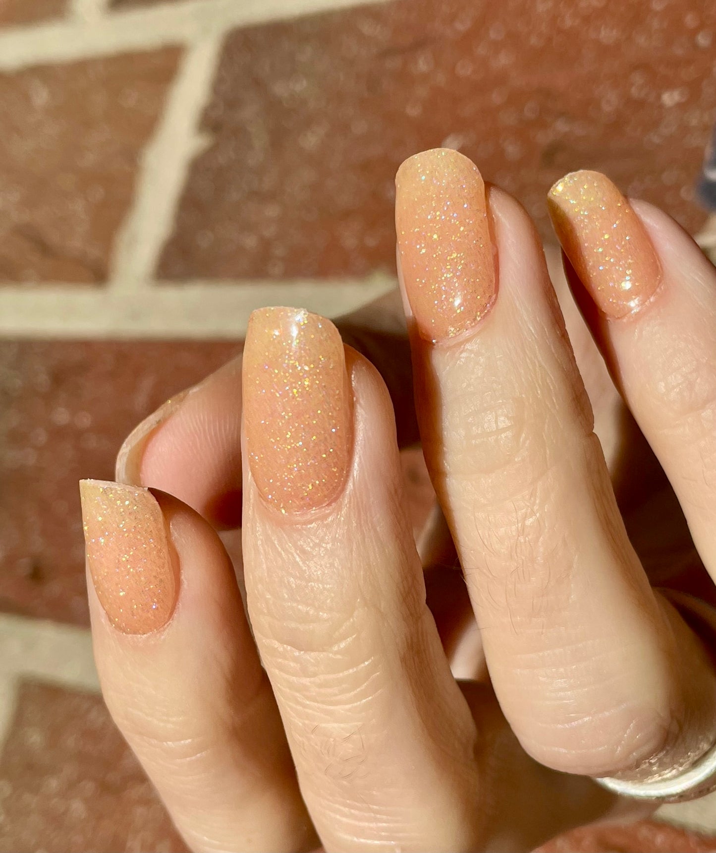 Sugared Peach 16er