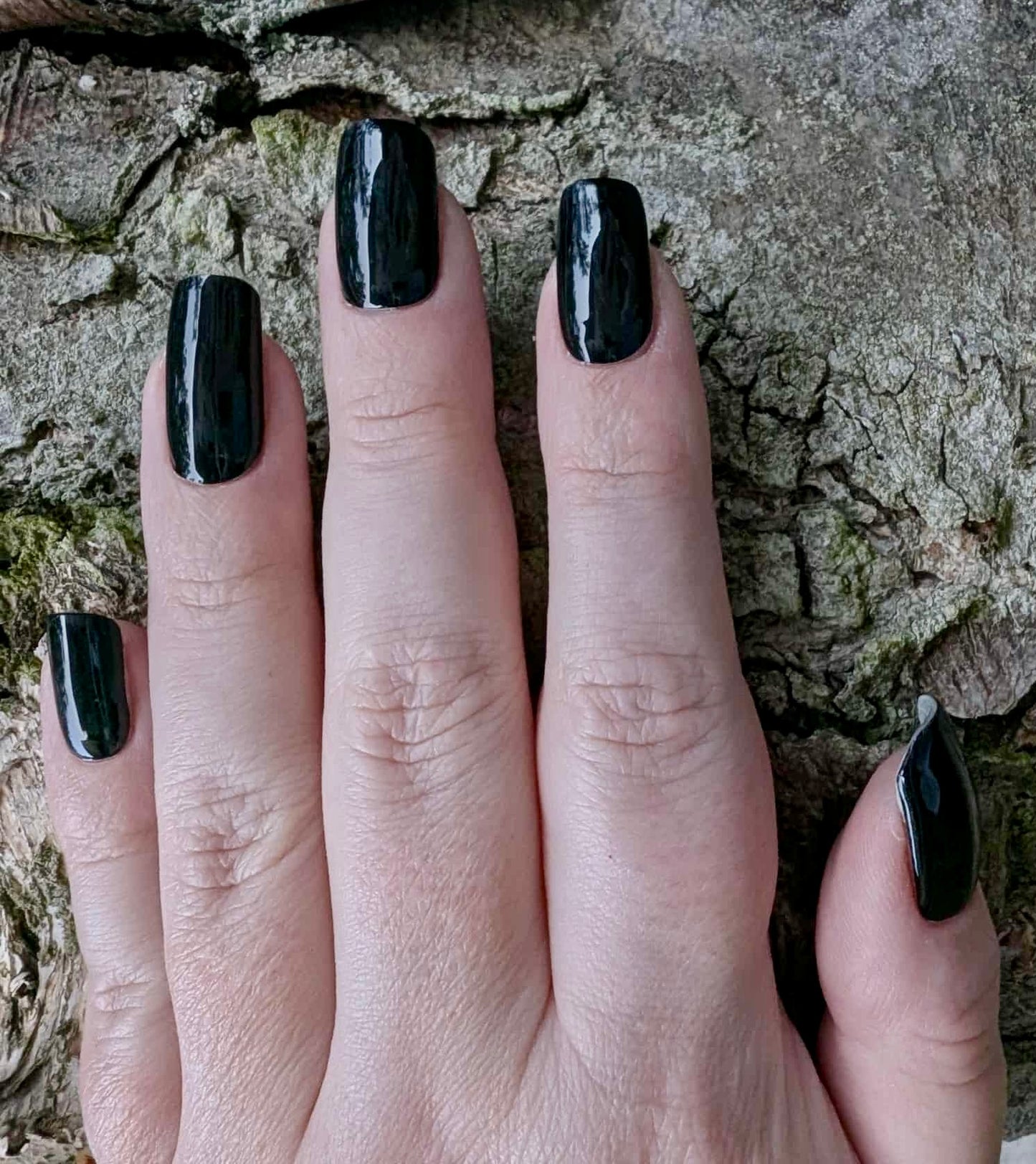 UV Black Lord 20er
