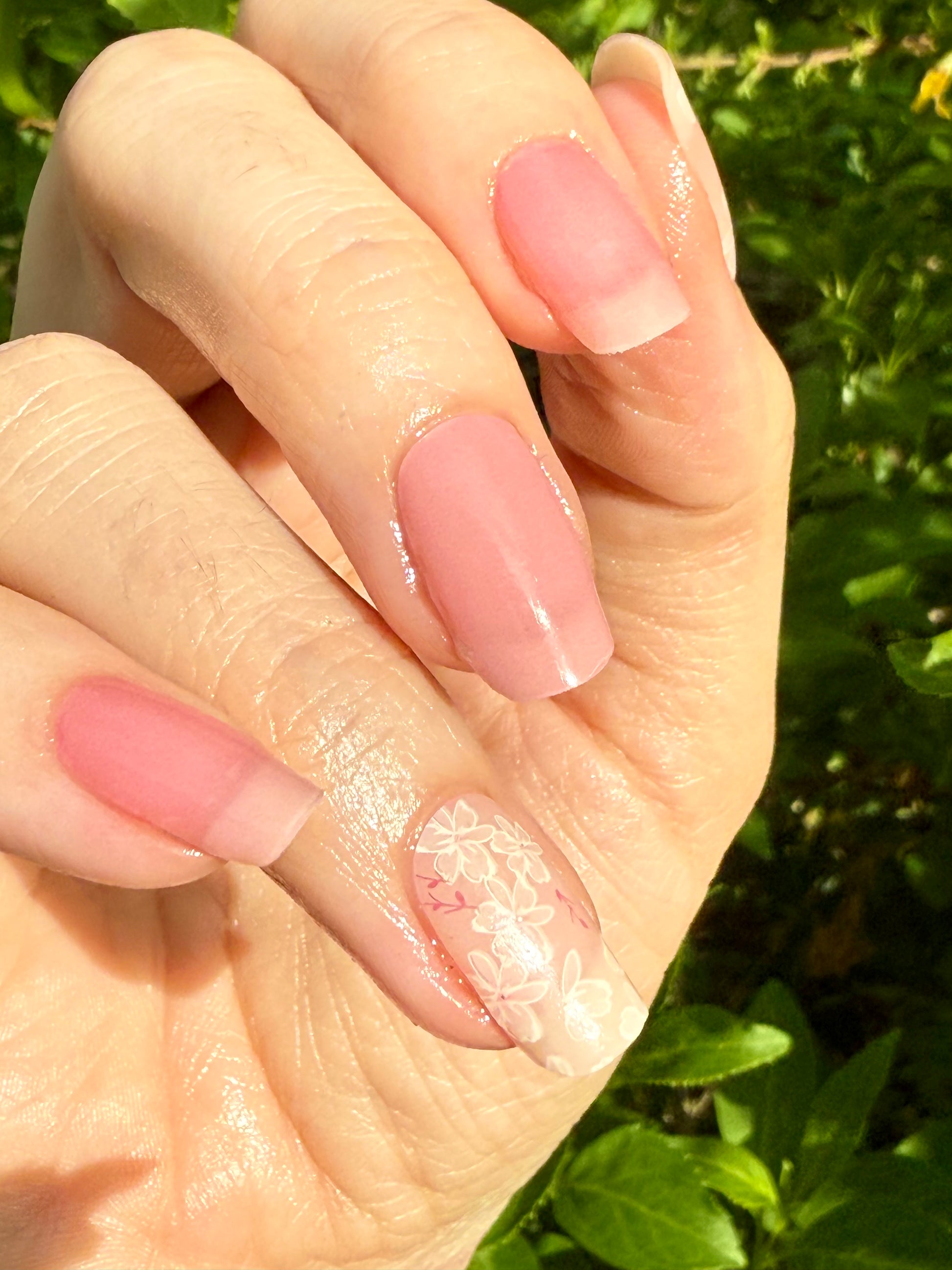 UV Linnea 16er-Blush&amp;Cherry-Blush and Cherry - UV Gel Folien