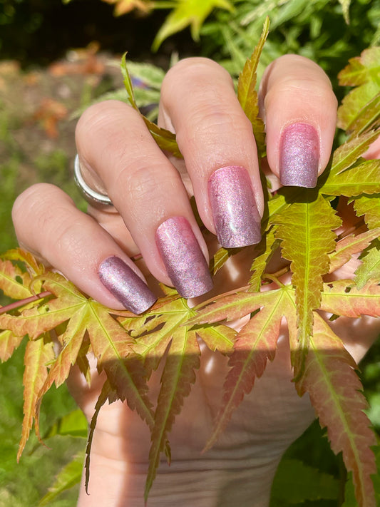 Falling Slowly 16er-Blush&Cherry-Exklusiv-Blush&amp;Cherry-Blush and Cherry-Nagelfolien-Non UV-Ohne UV