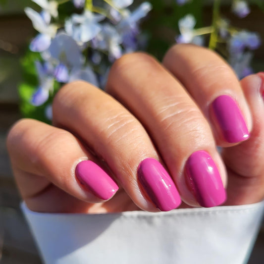 Berrylicious 16er