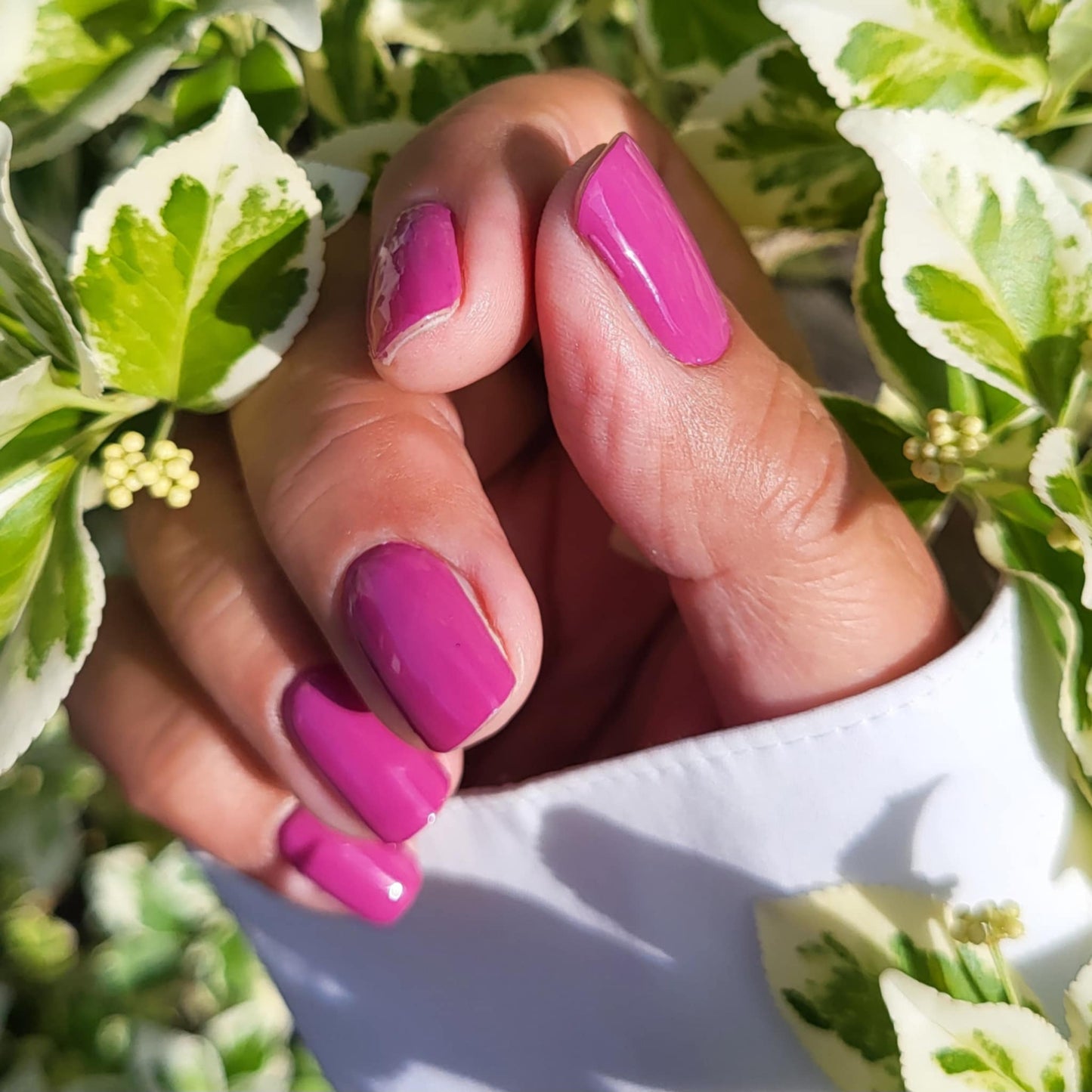 Berrylicious 16er