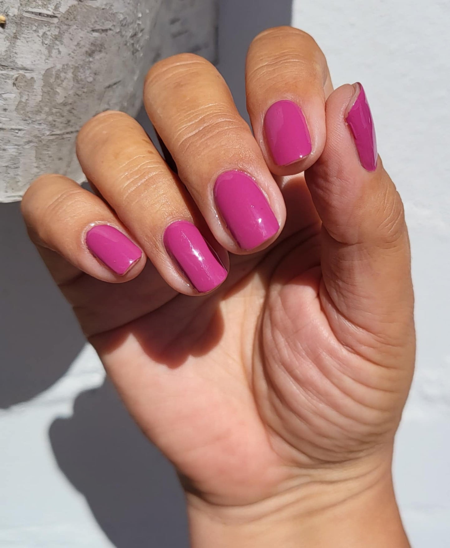 Berrylicious 16er