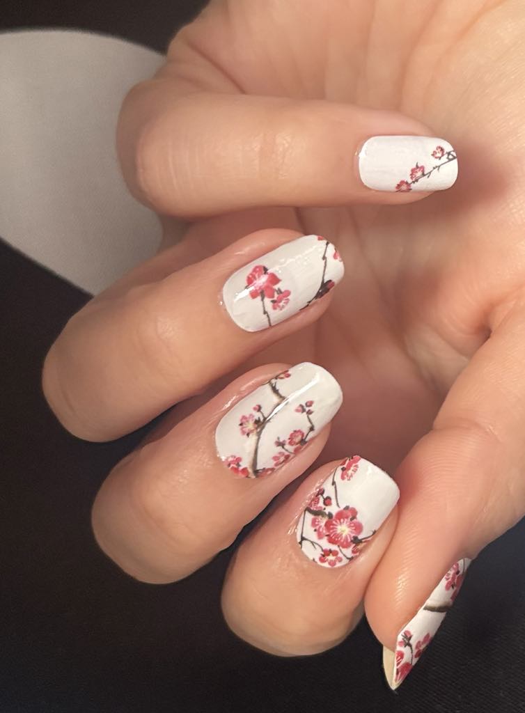 Cherry Bloom 16er