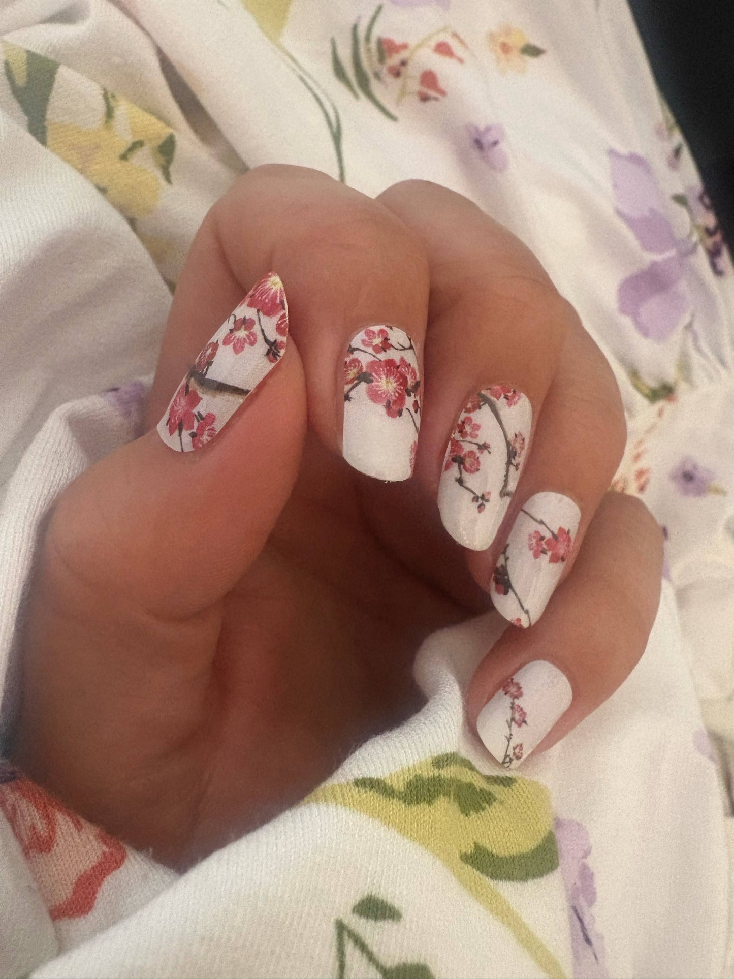 Cherry Bloom 16er