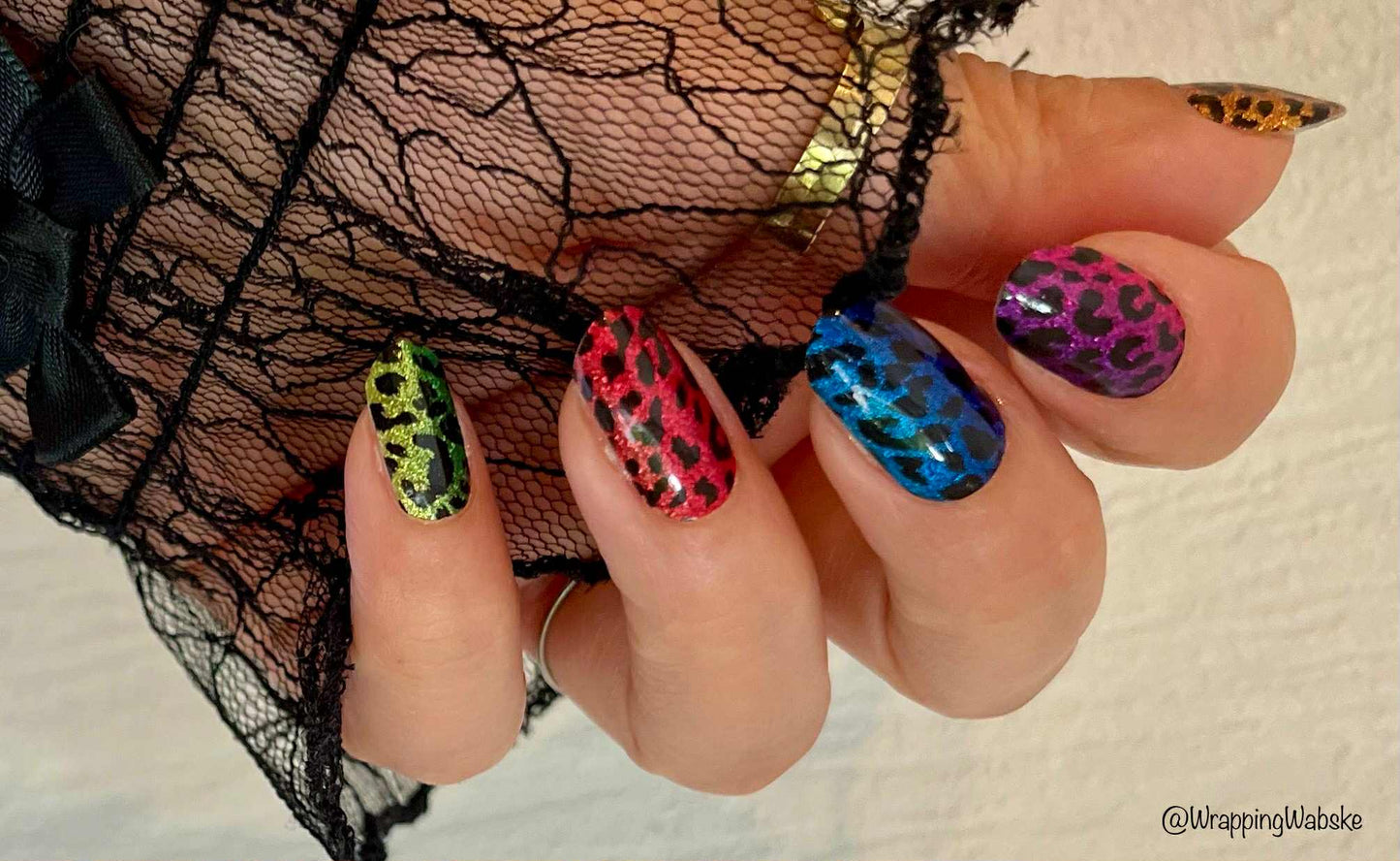 Rainbow Leopard 16er