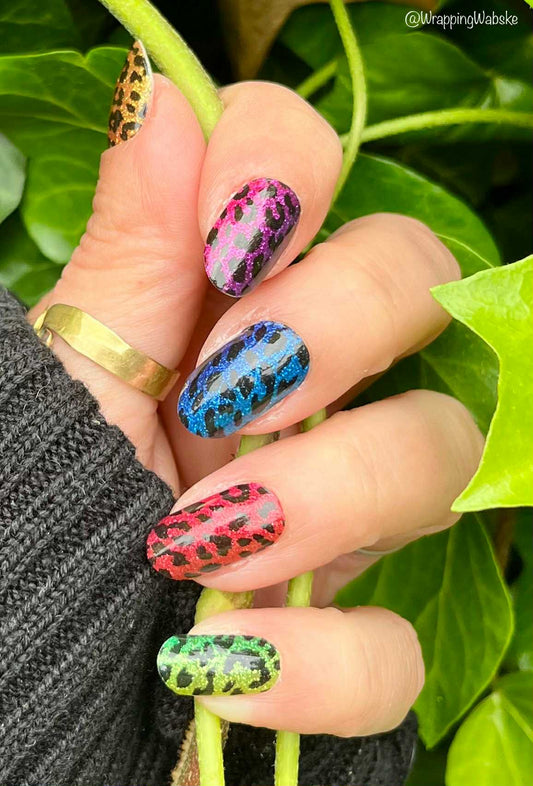 Rainbow Leopard 16er