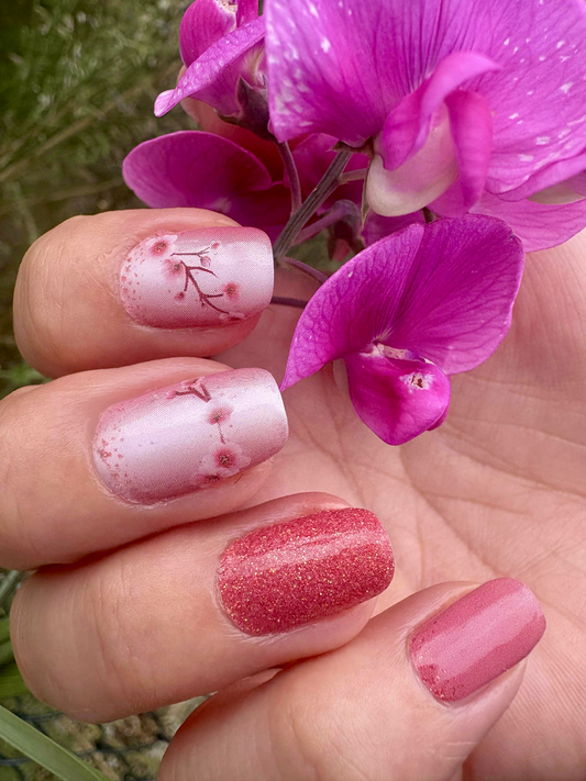 Sakura 16er