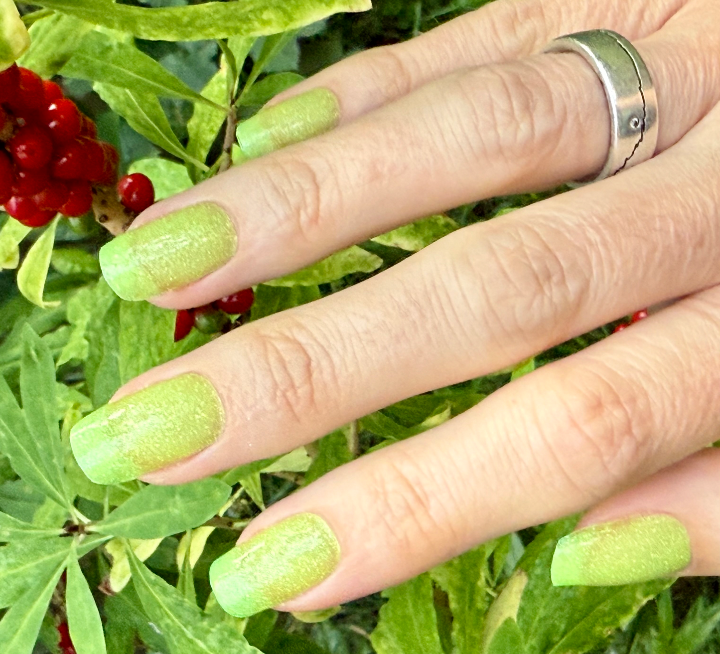 Lime 16er